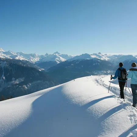 Elysee 11 By Interhome 克莱恩 蒙塔纳