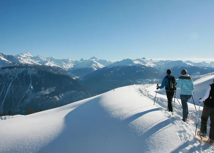 Elysee 11 By Interhome 克莱恩 蒙塔纳